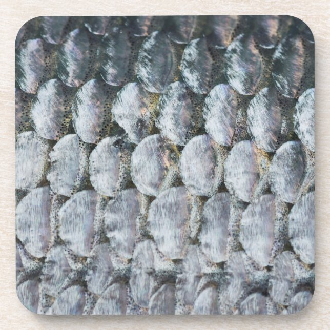 Shiny Lmon Scales Getränkeuntersetzer (Vorderseite)