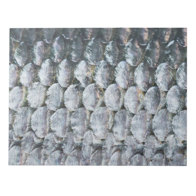 Shiny Lmon Scales Notizblock (Vorderseite)