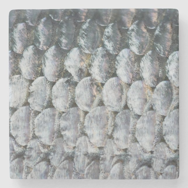 Shiny Lmon Scales Steinuntersetzer (Vorderseite)