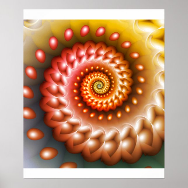 Shiny Peach Shell Poster (Vorne)