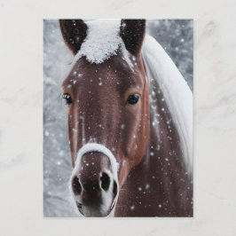 Shiny Smooth Glass Look for Horse Feiertagspostkarte