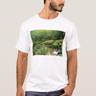 Shiratani Unsuikyo, Yakushima, Kagoshima, Japan T-Shirt