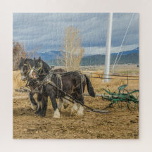 Shire Horses and Plough - 676 Stück
