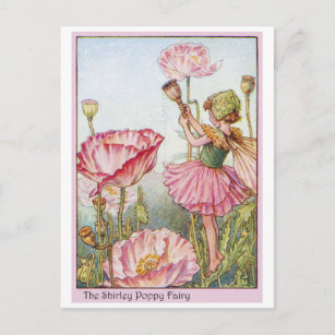 Shirley Poppy Fairy Postkarte