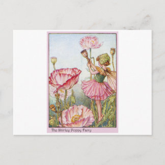 Shirley Poppy Fairy Postkarte