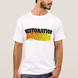 Shirt 1 Wiederherstellung