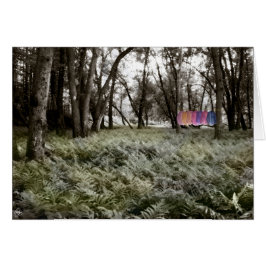 Shirts in einer Floodplain-Waldkarte