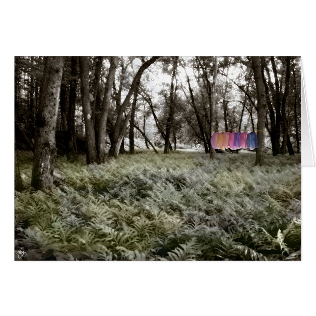 Shirts in einer Floodplain-Waldkarte (Vorderseite (Horizontal))