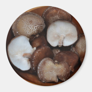Shitake Pilze Magnet