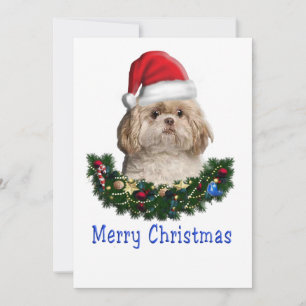 Shitzu Christmas Feiertagskarte