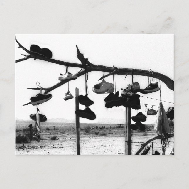 Shoe Store Postkarte (Vorderseite)