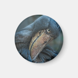 Shoebill Magnet