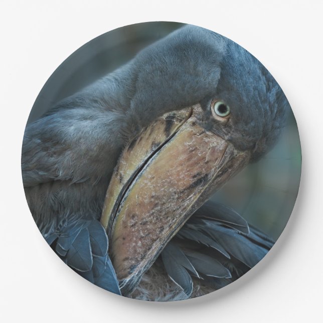 Shoebill Pappteller (Vorderseite)