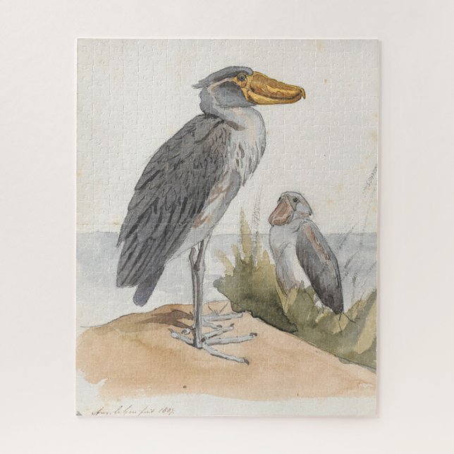 Shoebill Stork 1887 Print Zoological African (Vertikal)