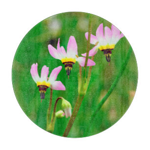 Shooting Star-Wildblumen im Mission Trails Park Schneidebrett