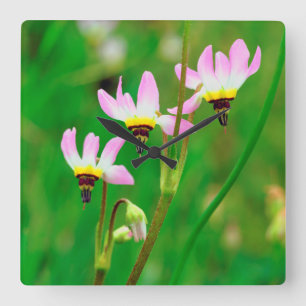Shooting Star Wildflowers in Mission Trails Park Quadratische Wanduhr