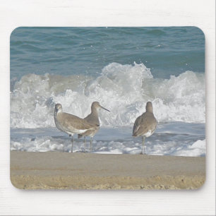 Shore Bird Trio Mousepad