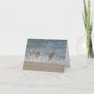 Shore Bird Trio Note Card Karte