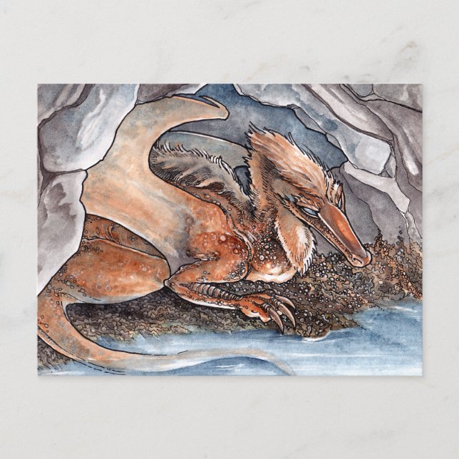 Shore Dragon Postkarte (Vorderseite)