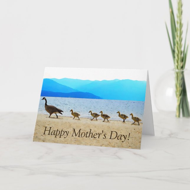 Shore Patrol Canada Geese Karte (Vorderseite)