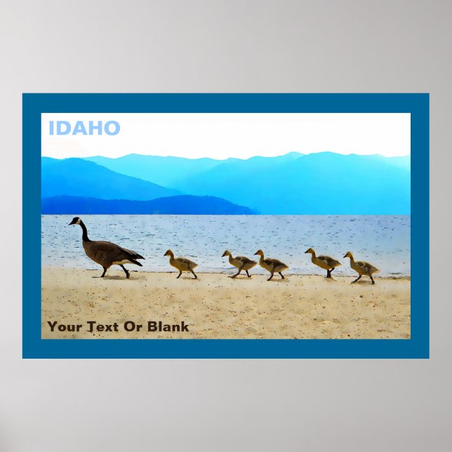 Shore Patrol Canada Geese Poster (Vorne)