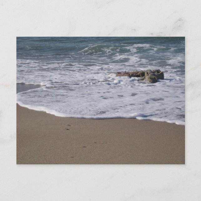 Shore Postcard Postkarte (Vorderseite)