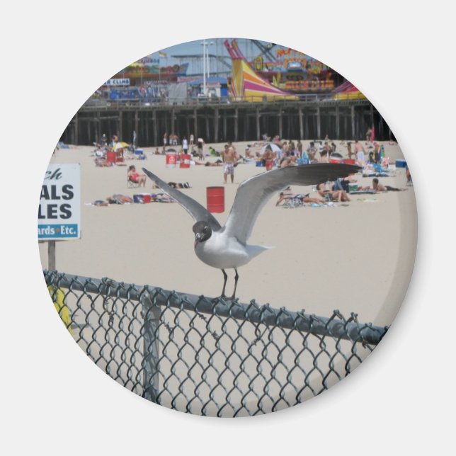 Shore Thing Magnet (Vorne)