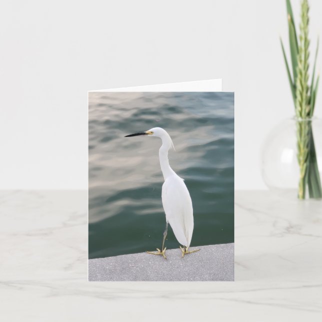 Shore-Vogel bei Siesta Key - leere Notizkarte Karte (Vorderseite)