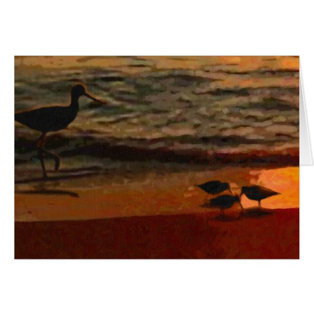Shorebirds (Vorderseite (Horizontal))