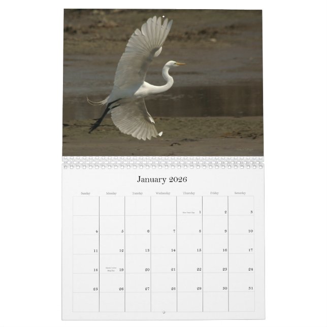 Shorebirds - 2010 kalender (Jan 2026)