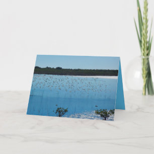 Shorebirds auf der Flügel-Gruß-Karte Karte
