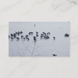 Shorebirds auf einer See-Visitenkarte Visitenkarte