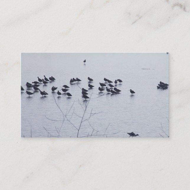 Shorebirds auf einer See-Visitenkarte Visitenkarte (Vorderseite)