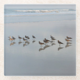 Shorebirds Glasuntersetzer