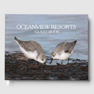 Shorebirds Hospitality / Wildlife / Nature Resort Gästebuch