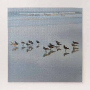 Shorebirds sammeln sich auf Strandfotografie