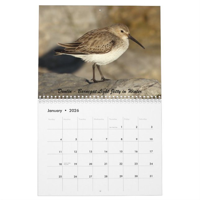 Shorebirds von New-Jersey Kalender (Jan 2026)