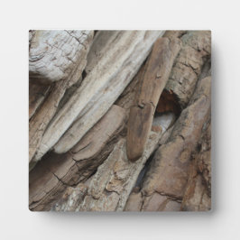 Shoreline Driftwood Foto Fotoplatte