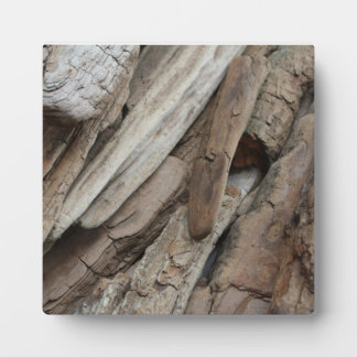 Shoreline Driftwood Foto Fotoplatte