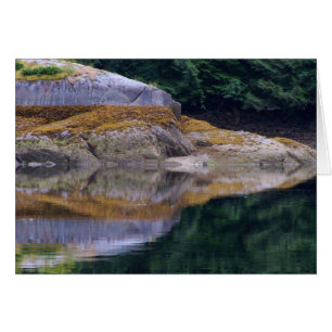 Shoreline-Reflexionen #7