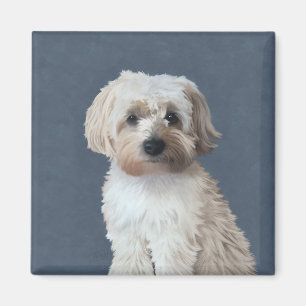 Shorkie-Hund Haustier-Porträt  Magnet