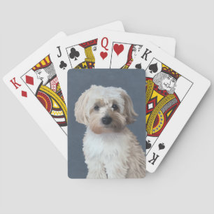 Shorkie-Hund Haustier-Porträt Spielkarten