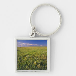 Short Grass Prairie im abgelegenen Nordosten Schlüsselanhänger