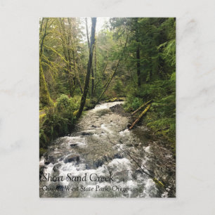 Short Sand Creek, Oswald West, Oregon Postkarte