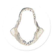 Shortfin Mako Shark Jaws Logo