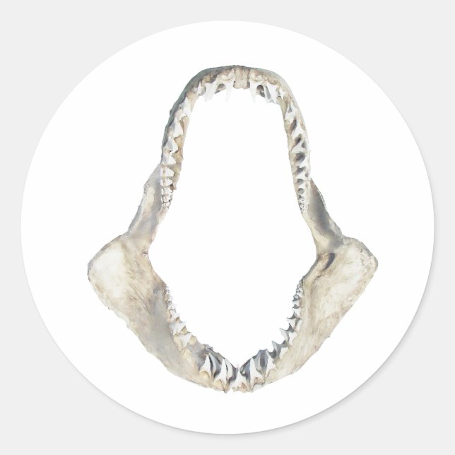 Shortfin Mako Shark Jaws Logo Runder Aufkleber (Vorderseite)