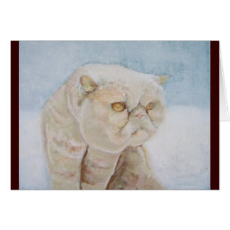 Shorthair exotique dans la carte de neige