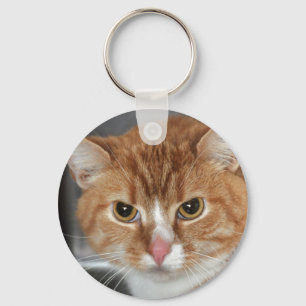 Shorthair orange Tabby-Katzen-Schlüsselanhänger Schlüsselanhänger