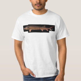 Shortnose Stör - Acipenser brevirostrum T-Shirt