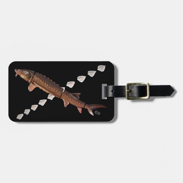 Shortnose Stör u. Scutes Gepäckanhänger (Vorderseite horizontal)